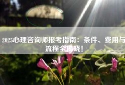 2025心理咨询师报考指南：条件、费用与流程全揭晓！