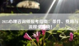 2025心理咨询师报考指南：条件、费用与流程全揭晓！