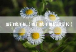 厦门修手机（厦门修手机培训学校）