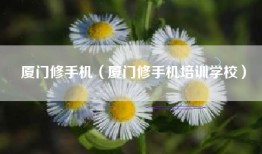 厦门修手机（厦门修手机培训学校）