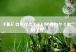 手机扩展内存卡（手机扩展内存卡哪个牌子好）