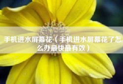 手机进水屏幕花（手机进水屏幕花了怎么办最快最有效）