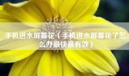 手机进水屏幕花（手机进水屏幕花了怎么办最快最有效）