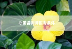 心里咨询师报考条件