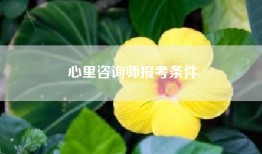 心里咨询师报考条件