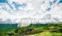不知道数字化转型有什么意义？实现数字化转型价值都有哪些路径