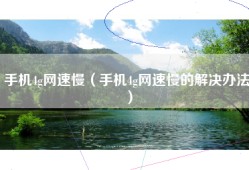 手机4g网速慢（手机4g网速慢的解决办法）