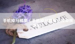 手机掉马桶里（手机掉马桶里会传染疾病吗）