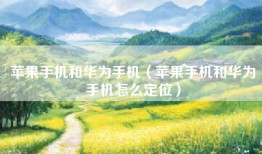 苹果手机和华为手机（苹果手机和华为手机怎么定位）
