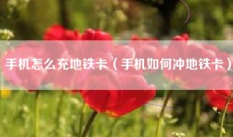 手机怎么充地铁卡（手机如何冲地铁卡）