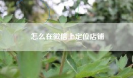 怎么在微信上定位店铺