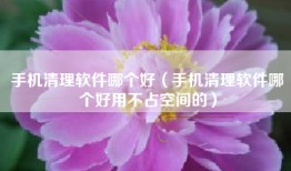 手机清理软件哪个好（手机清理软件哪个好用不占空间的）