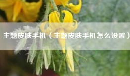 主题皮肤手机（主题皮肤手机怎么设置）