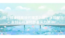 碰一碰支付系统代理怎么做？头部聚合支付公司源码部署实力测评！