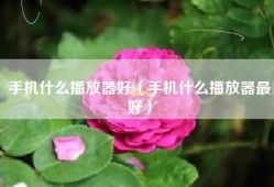 手机什么播放器好（手机什么播放器最好）