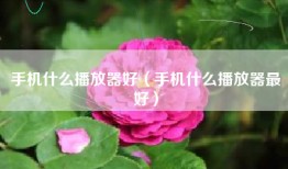 手机什么播放器好（手机什么播放器最好）