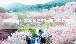 深度详解！雷军亲述小米如何成功逆转
