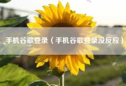 手机谷歌登录（手机谷歌登录没反应）