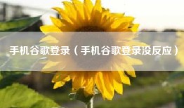 手机谷歌登录（手机谷歌登录没反应）