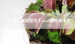 vivo手机测试指令（vivox9测试指令）