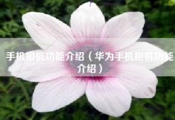手机相机功能介绍（华为手机相机功能介绍）