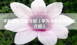 手机相机功能介绍（华为手机相机功能介绍）