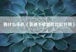 普什么手机（普通手机哪款比较好用）