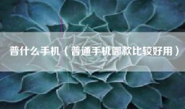 普什么手机（普通手机哪款比较好用）