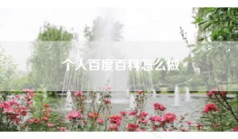 个人百度百科怎么做