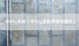 中兴4g手机（中兴4g手机价格及图片）