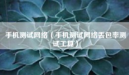 手机测试网络（手机测试网络丢包率测试工具）