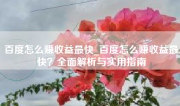 百度怎么赚收益最快_百度怎么赚收益最快？全面解析与实用指南