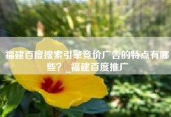 福建百度搜索引擎竞价广告的特点有哪些？_福建百度推广