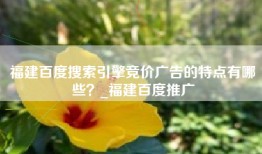 福建百度搜索引擎竞价广告的特点有哪些？_福建百度推广
