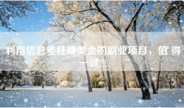 利用信息差狂赚美金的副业项目，值 得一试!!!