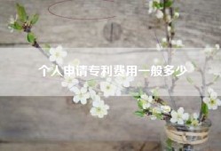 个人申请专利费用一般多少