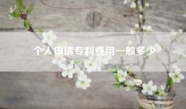 个人申请专利费用一般多少