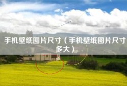 手机壁纸图片尺寸（手机壁纸图片尺寸多大）