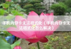 手机内存卡无法格式化（手机内存卡无法格式化怎么解决）