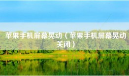 苹果手机屏幕晃动（苹果手机屏幕晃动关闭）