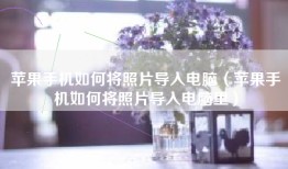 苹果手机如何将照片导入电脑（苹果手机如何将照片导入电脑里）