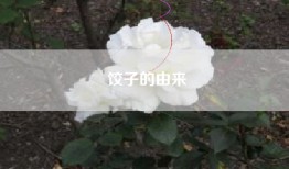 饺子的由来