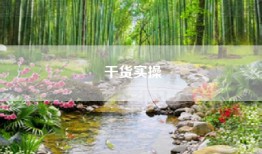 干货实操