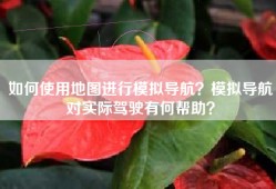 如何使用地图进行模拟导航？模拟导航对实际驾驶有何帮助？