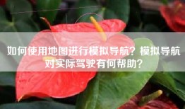 如何使用地图进行模拟导航？模拟导航对实际驾驶有何帮助？