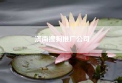 济南搜狗推广公司