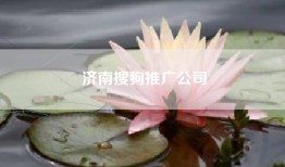济南搜狗推广公司