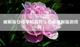 破解版安卓手机游戏（安卓破解版游戏网）
