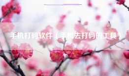手机打码软件（手机去打码的工具）