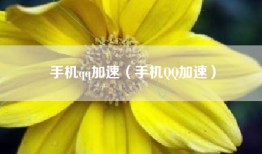 手机qq加速（手机QQ加速）
